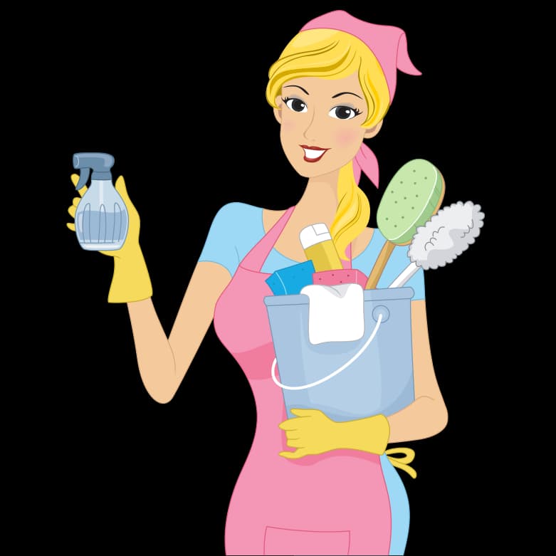 Friendly Spotless cleaner with spray bottle and cleaning kit